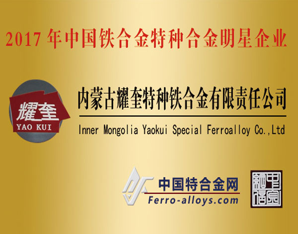 2017 China Ferroalloy Special Alloy Star Enterprise